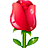:Lovely Rose: